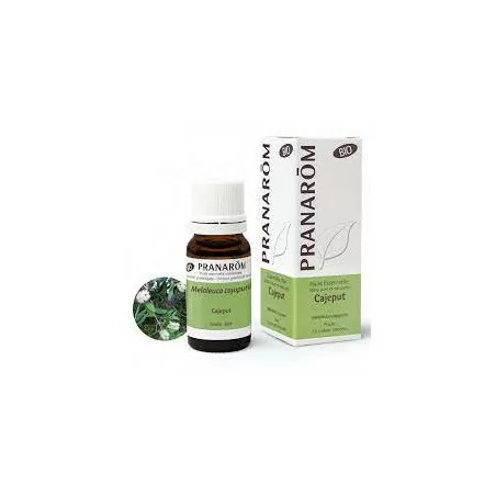 Pranarom Huile essentielle Bio Cajeput