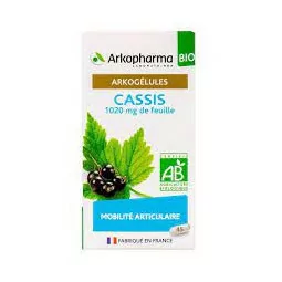 Arkogélule Cassis Bio