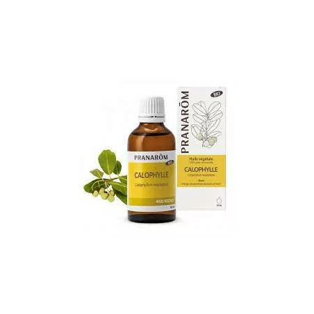Pranarom Huile Végétale Bio Calophylle 50ml
