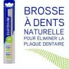 Elgydium Brosse A Dents En Bois
