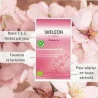 Weleda Tisane Allaitement Fenouil / fruits rouges