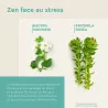 EuphytoseZen Complément Alimentaire, Stress, nervosité, difficultés de concentration, 3 pack de 30 Comprimés