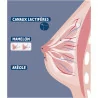 DODIE Biberon Tétine multi-perforée anti-coliques - tétine biomimétisme débit 3 - 330ml - BLEU - 6+ mois