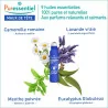 Puressentiel Stick Mal Tte Roller/5ml