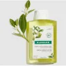 Klorane shampooing purifiant pulpe de cédrat cheveux gras Parapharmelle parapharmacie en ligne
