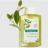 Klorane shampooing purifiant pulpe de cédrat cheveux gras Parapharmelle parapharmacie en ligne