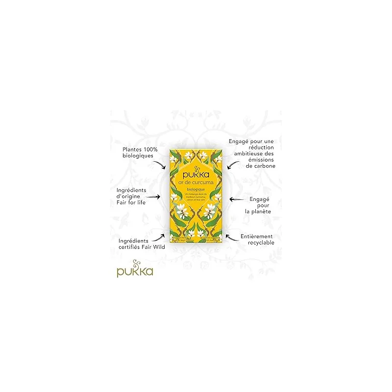 Tisane ayurvédique Pukka Or de Curcuma bio anti-oxydante Parapharmelle